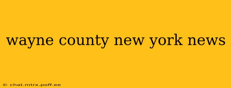 wayne county new york news