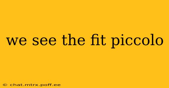 we see the fit piccolo
