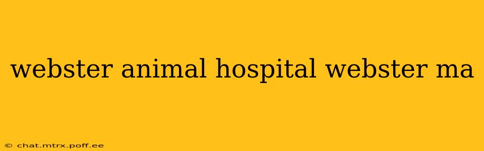 webster animal hospital webster ma