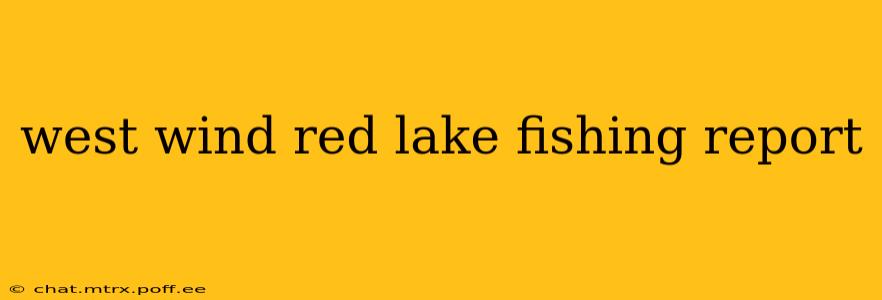 west wind red lake fishing report