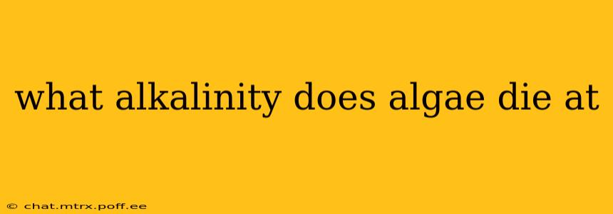 what alkalinity does algae die at