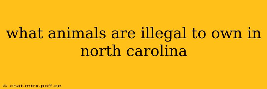what animals are illegal to own in north carolina