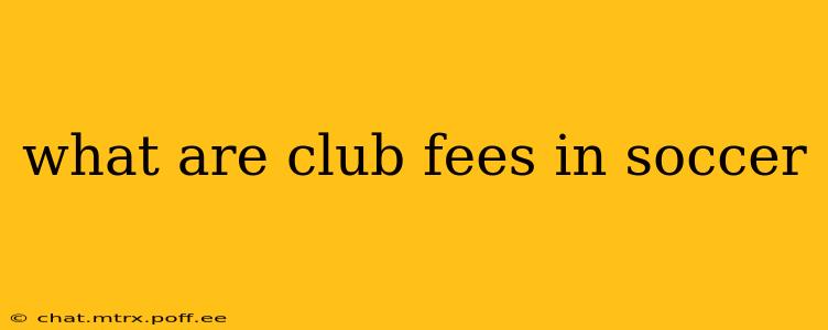 what are club fees in soccer