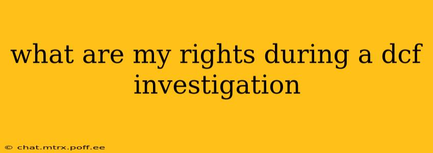 what are my rights during a dcf investigation
