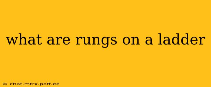 what are rungs on a ladder