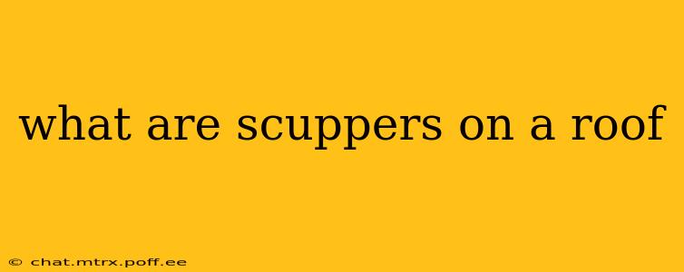what are scuppers on a roof