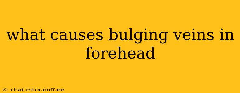 what causes bulging veins in forehead