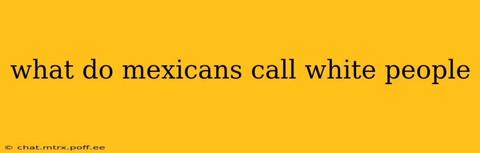 what do mexicans call white people