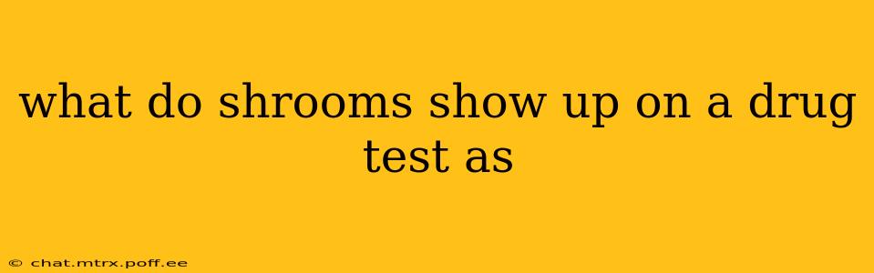 what do shrooms show up on a drug test as