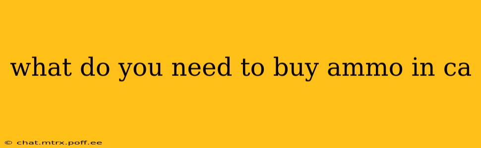 what do you need to buy ammo in ca