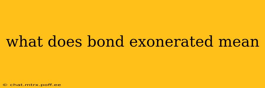 what does bond exonerated mean