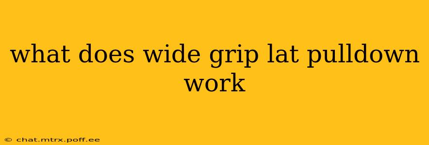 what does wide grip lat pulldown work