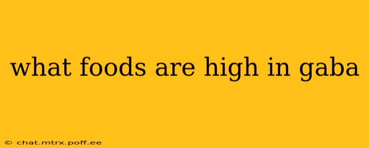 what foods are high in gaba