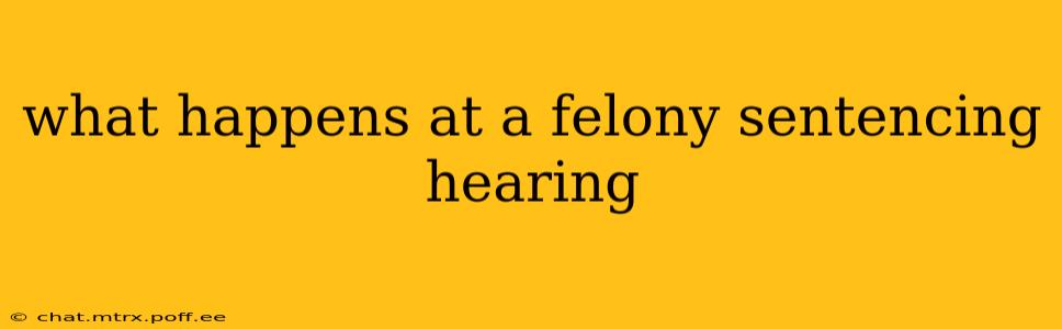 what happens at a felony sentencing hearing