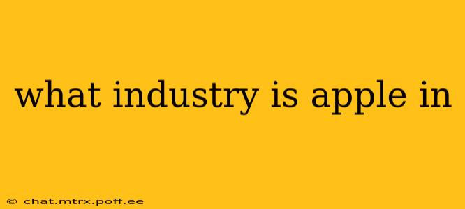 what industry is apple in