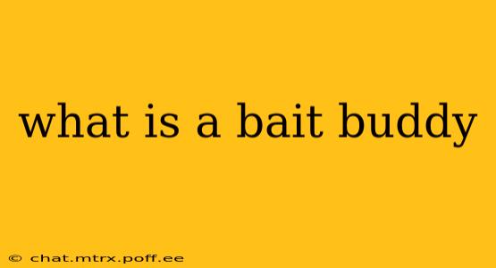 what is a bait buddy