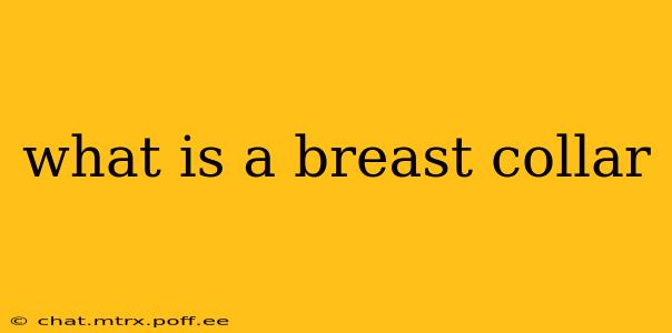 what is a breast collar