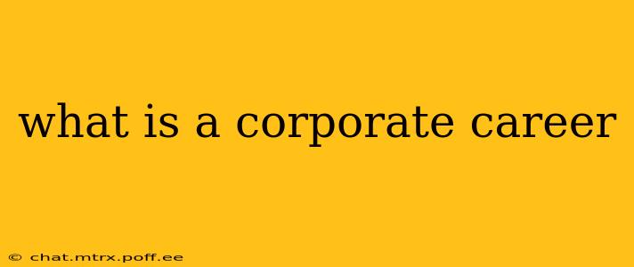 what is a corporate career
