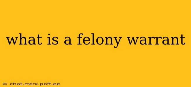 what is a felony warrant
