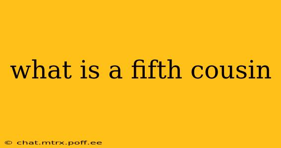 what is a fifth cousin