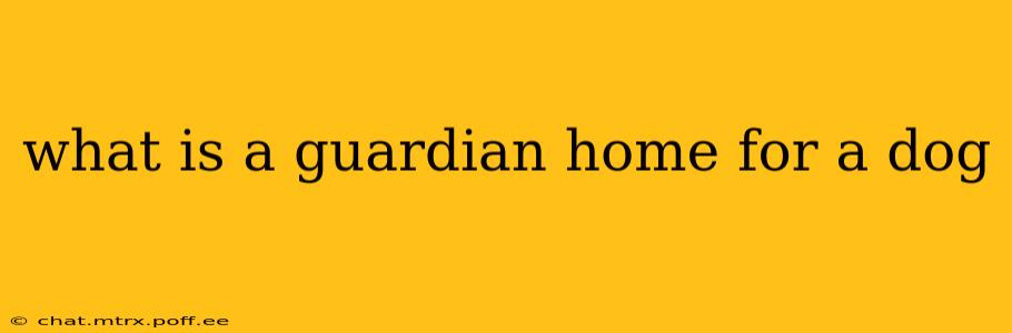 what is a guardian home for a dog