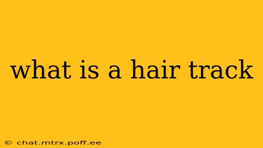 what is a hair track