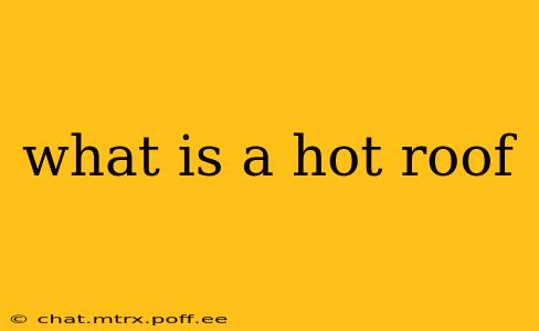what is a hot roof