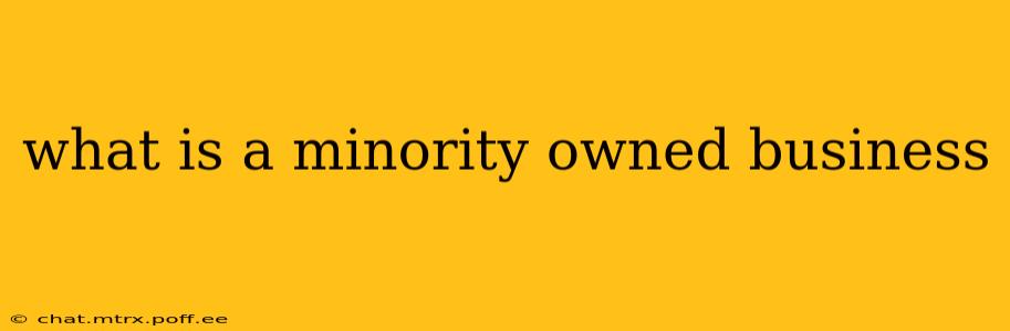 what is a minority owned business