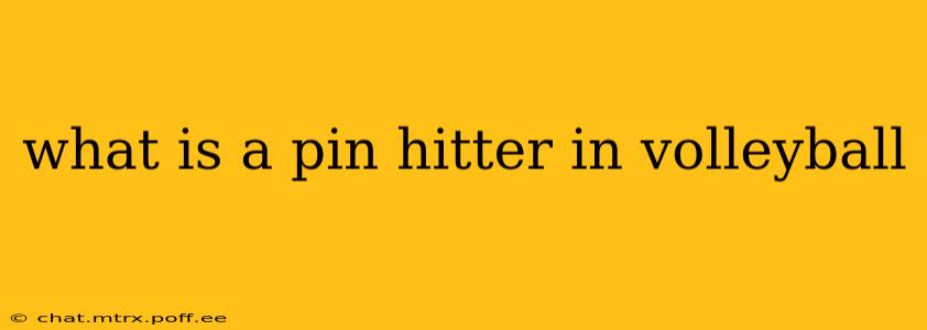 what is a pin hitter in volleyball