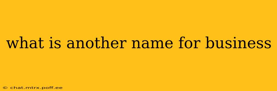 what is another name for business