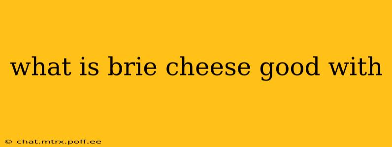 what is brie cheese good with
