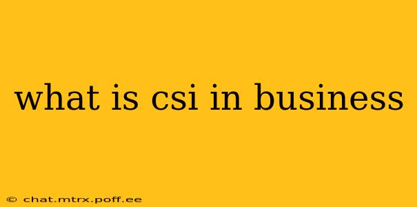 what is csi in business