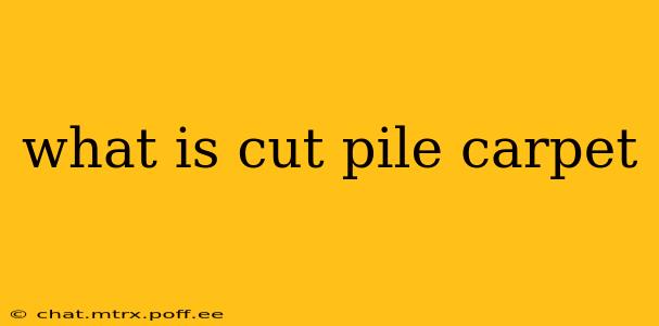 what is cut pile carpet