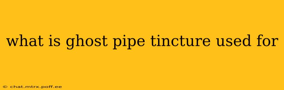 what is ghost pipe tincture used for