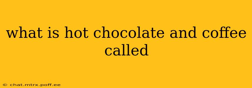 what is hot chocolate and coffee called