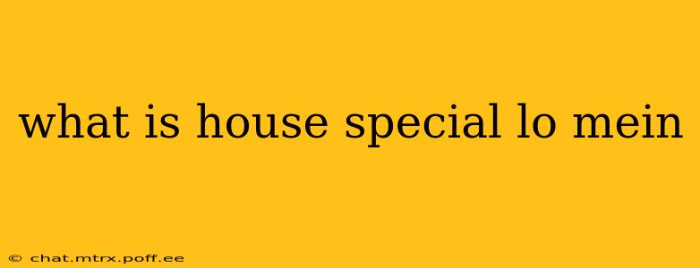 what is house special lo mein