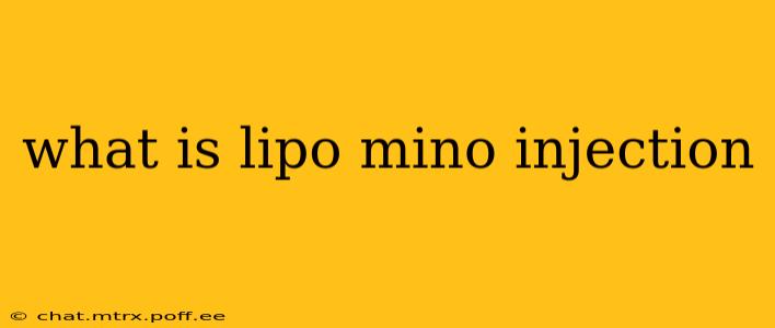 what is lipo mino injection