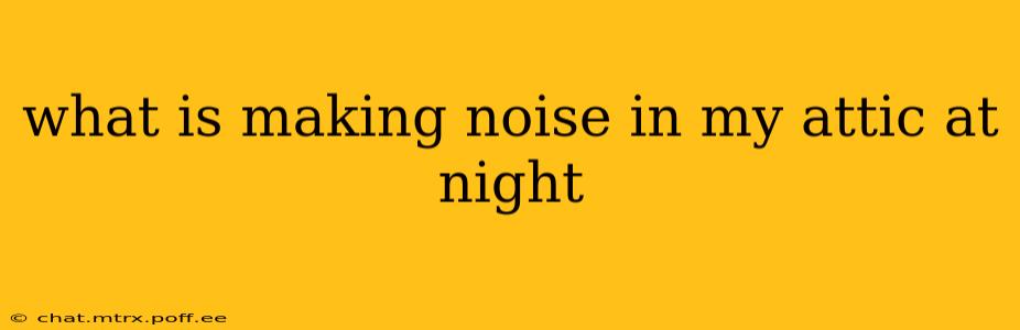what is making noise in my attic at night