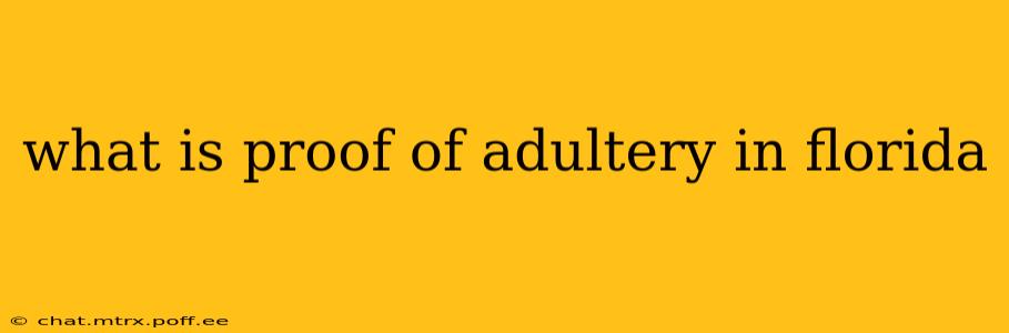 what is proof of adultery in florida