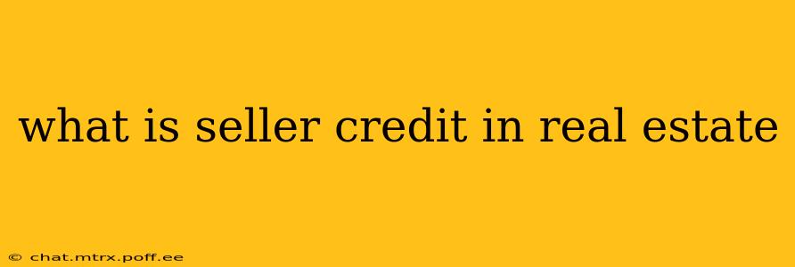 what is seller credit in real estate