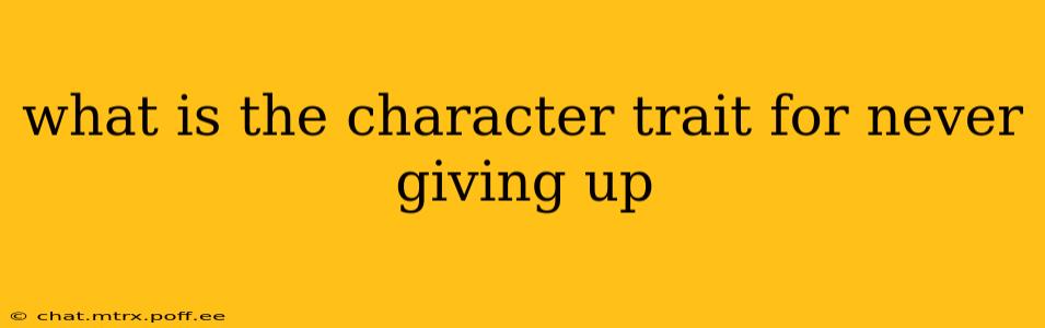 what is the character trait for never giving up