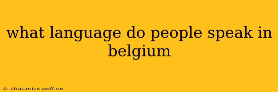 what language do people speak in belgium
