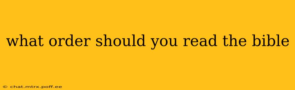 what order should you read the bible