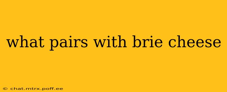 what pairs with brie cheese