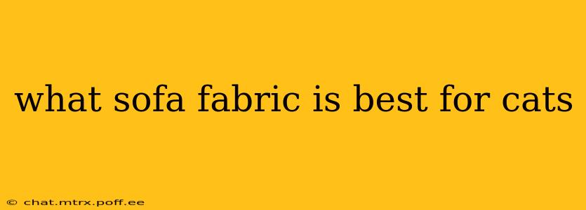 what sofa fabric is best for cats