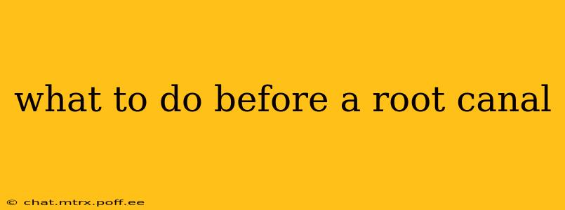 what to do before a root canal