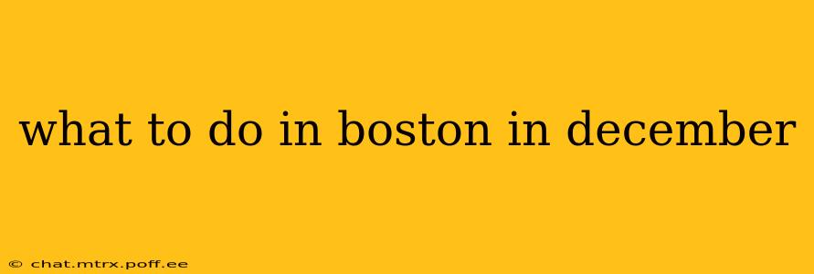 what to do in boston in december