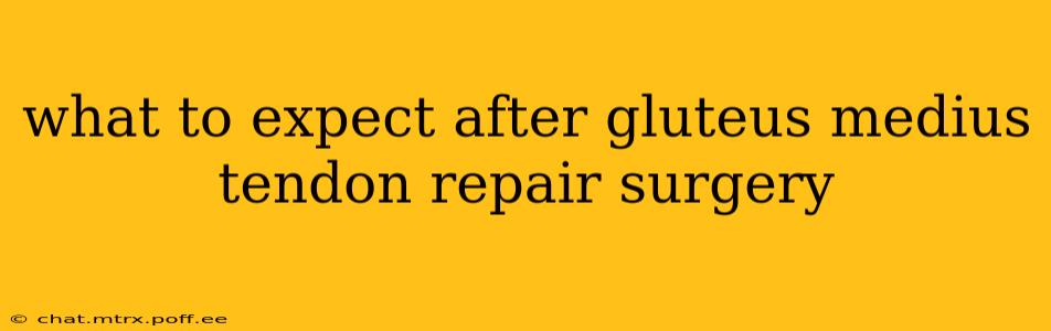 what to expect after gluteus medius tendon repair surgery