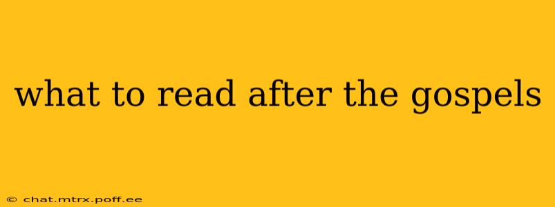 what to read after the gospels
