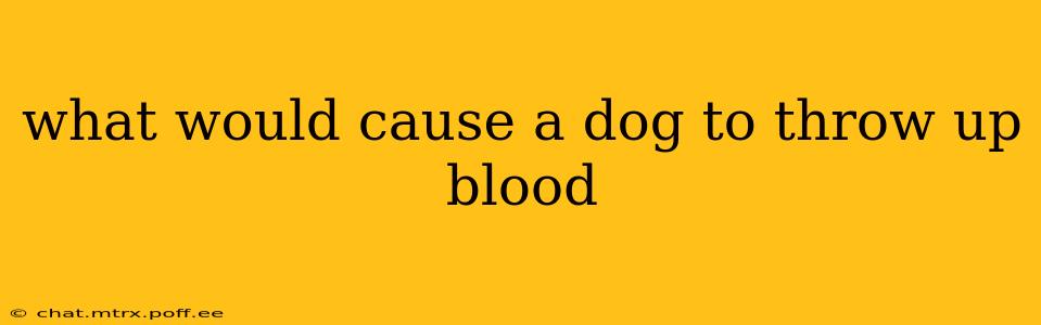 what would cause a dog to throw up blood